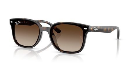 Okulary przeciwsłoneczne Ray-Ban RB 4461D 710/13