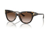 Okulary Przeciwsłoneczne Jimmy Choo JC 5018U 500213