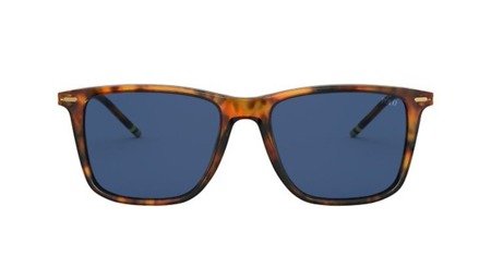 Okulary Przeciwsłoneczne Polo Ralph Lauren Ph 4163 501780