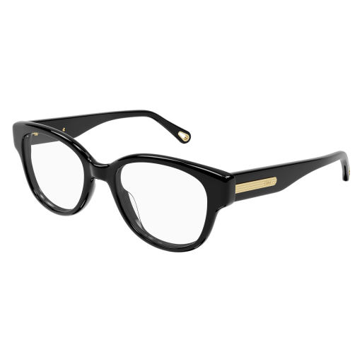 Okulary przeciwsłoneczne Chloé CH0124O 005