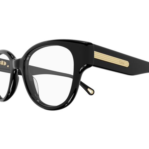 Okulary przeciwsłoneczne Chloé CH0124O 005