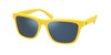 Okulary Przeciwsłoneczne Polo Ralph Lauren PH 4167 542055